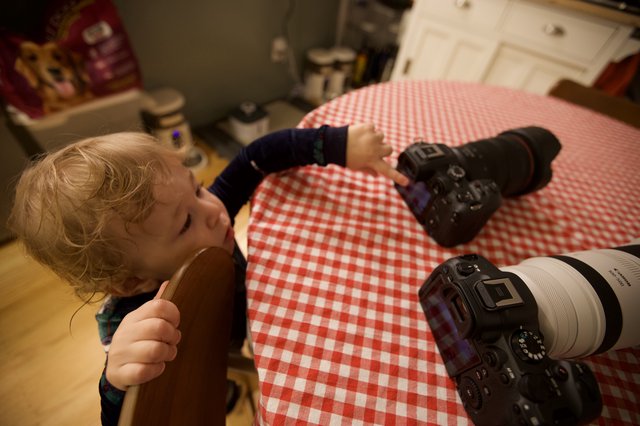 Young Photographer Learning with Two Cameras at Home