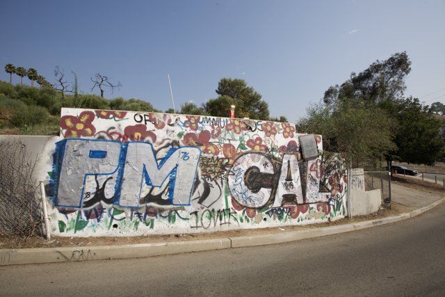 PM Cal Graffiti Wall