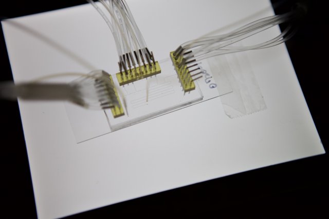 UCLA Micro Bio Chip: Inside the Computer