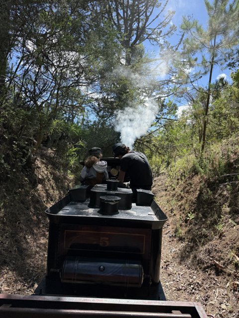 Journey Through the Wilderness