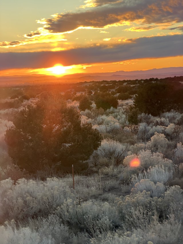Golden Sunset Over High Desert Sagebrush Landscape