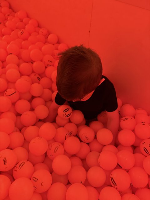 Joyful Discoveries