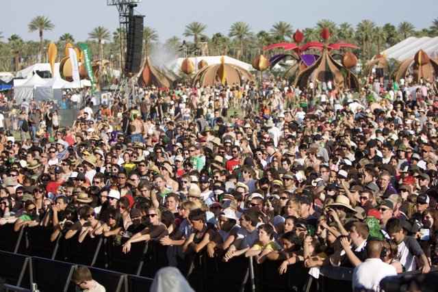 Coachella Crowd in 2008