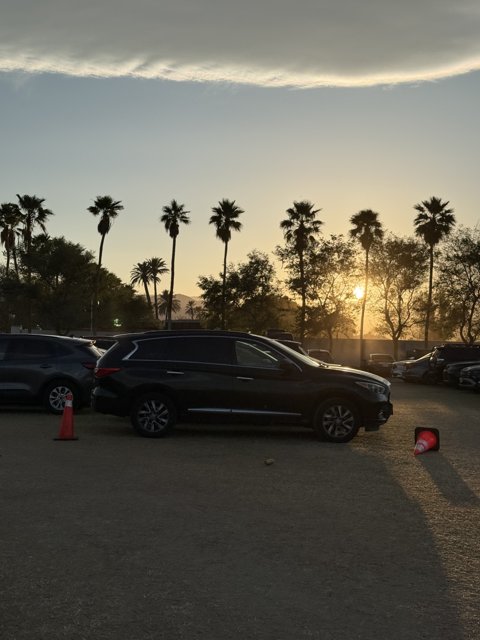Evening Serenity in the Parking Lot