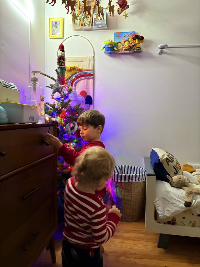 Two Brothers Admiring Their Decorated Christmas Tree