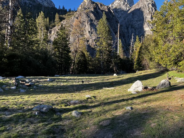 Majestic Mountain Landscape in Yosemite National Park
