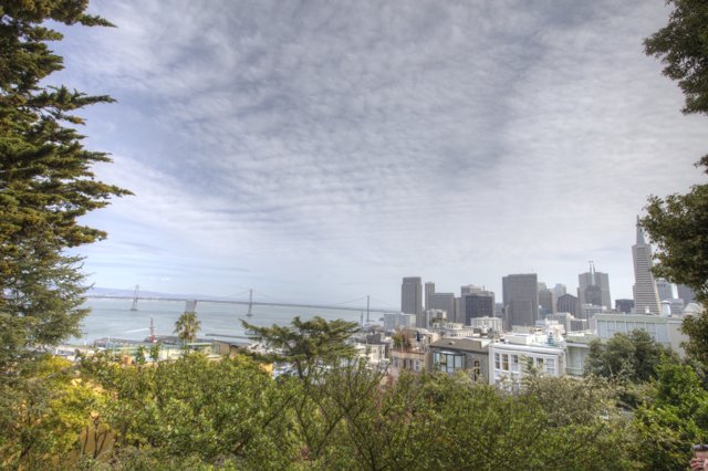 Panoramic View of San Francisco from the Top of a Hill