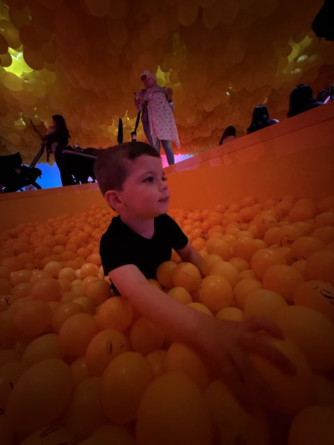 Citrus Wonderland