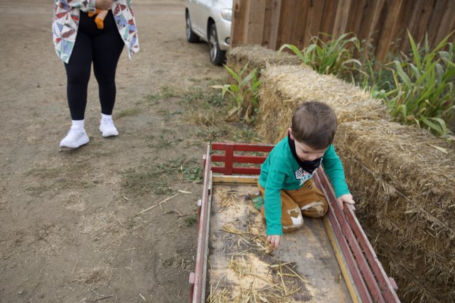 Exploring the Hay Wagons