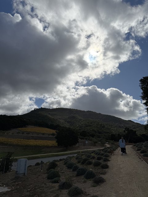 Stroll Under the Clouds