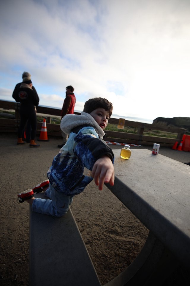 Young Boy at Coastal Elephant Seal Viewing Area