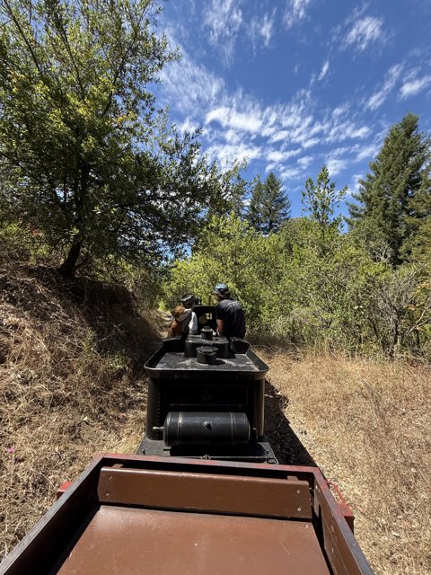 Off-Road Adventure in Tilden Park