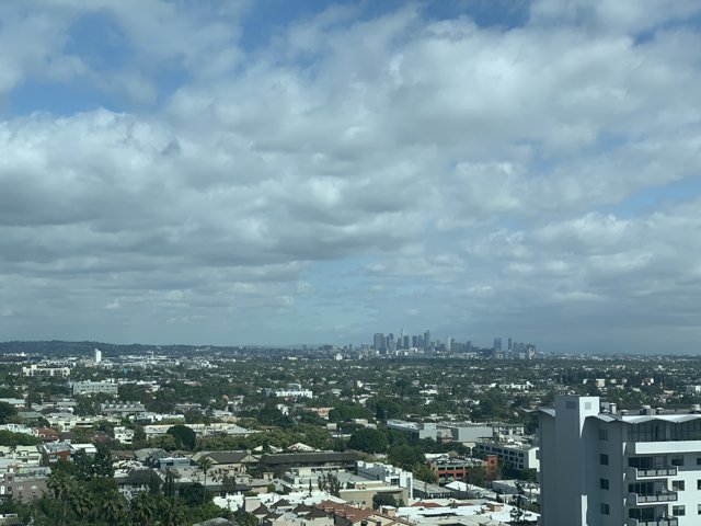 A View Above the Metropolis