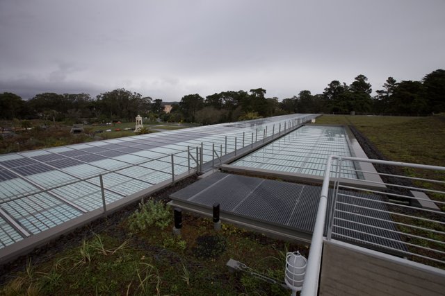 Green Roof with Solar Panels