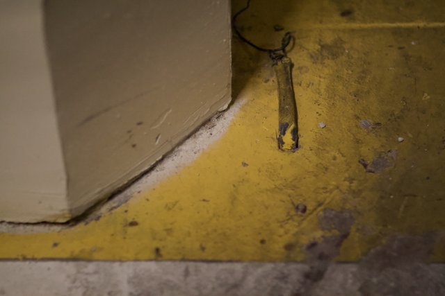 Mysterious Object on Plywood Floor
