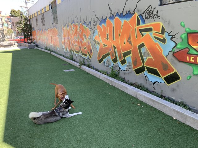 Playtime at the Wall