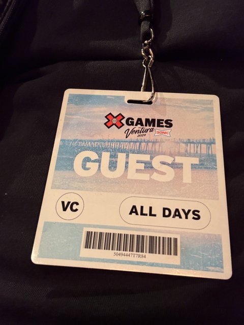 VIP Access Pass