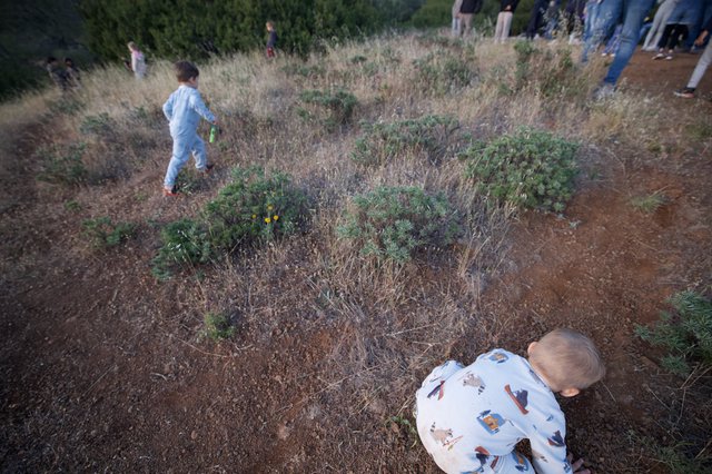 Children Explore Dry Hillside at Mount Diablo Dusk