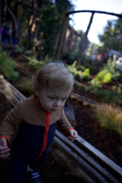 Exploring Nature's Playground