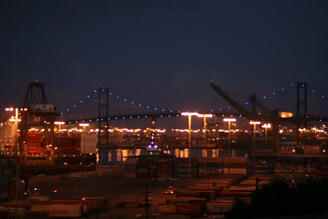 Illuminated Bridge in the Metropolis