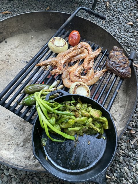 Grillin' and Chillin' in Guerneville