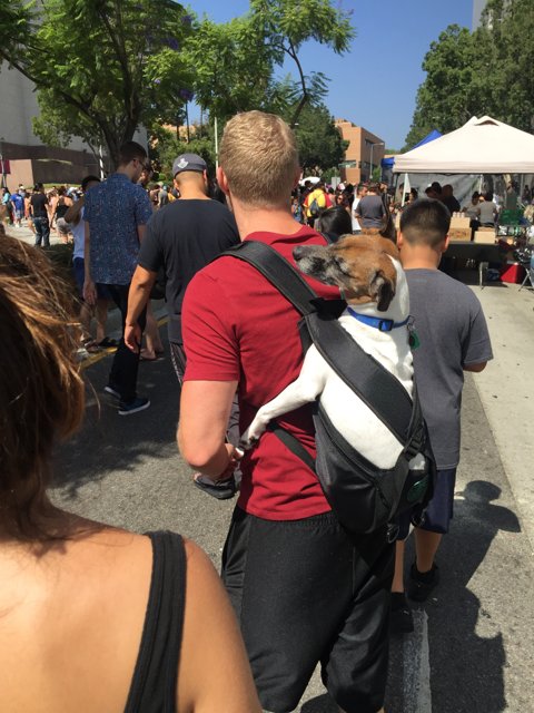 Crowd-Canine Carry