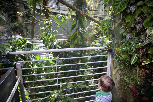 Intrigue in the Greenhouse: A Young Explorer
