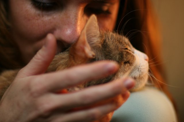 Woman Cuddles with her Abyssinian Cat
