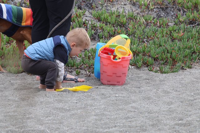 Toddler Discovers Sand Treasures at the Beach