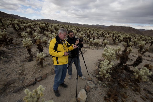 Photography in the Desert