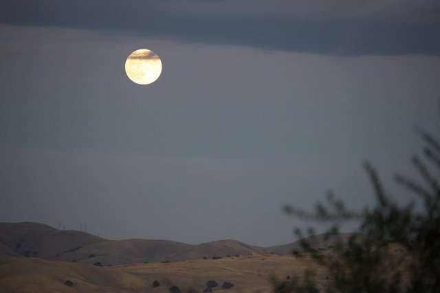 Serenity of a Walnut Creek Night