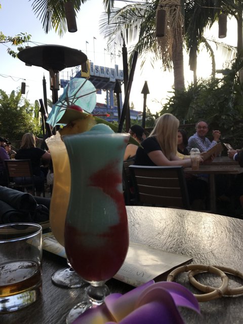 Refreshing Drinks at the Disneyland Hotel