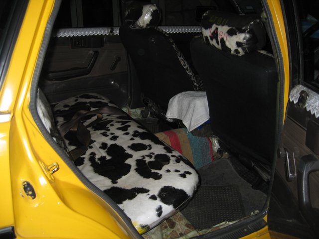 A Cow Skin Seat for a Unique Car Interior