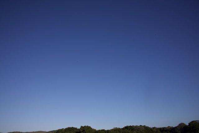 Tranquil Azure Over Thistlewyck
