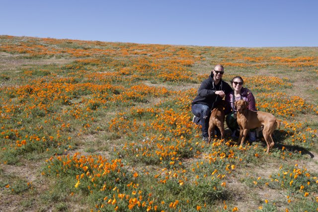 A Day in the Meadow with Two Loved Ones and Their Canine Companion