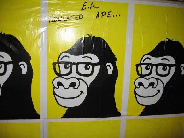 The Educated Gorilla