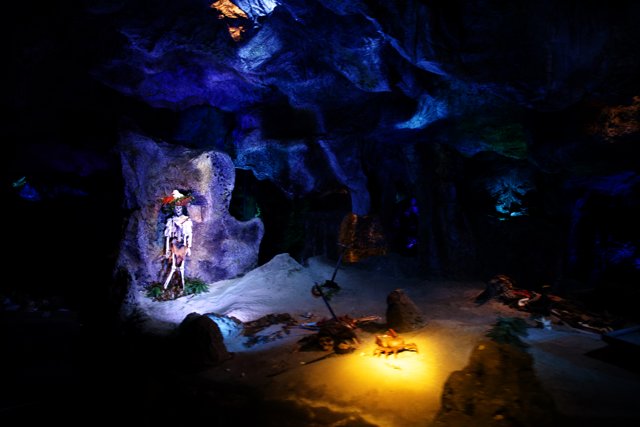 Enchanting Cave Encounter at Disneyland
