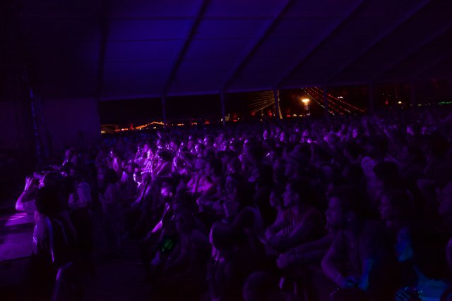 Purple Haze Concert Experience