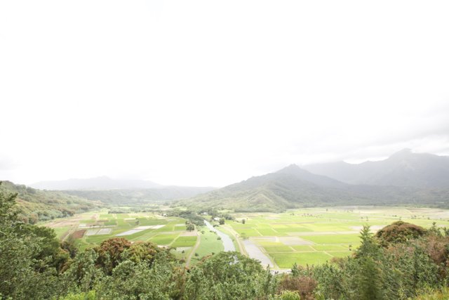 Majestic View of a Valley Laden with Rice Fields and Mountains