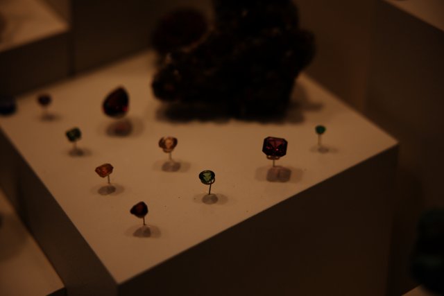 Dazzling Gemstone Exhibition