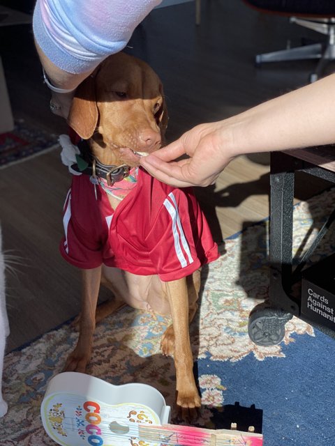 Stylish Canine in Woodland Shirt