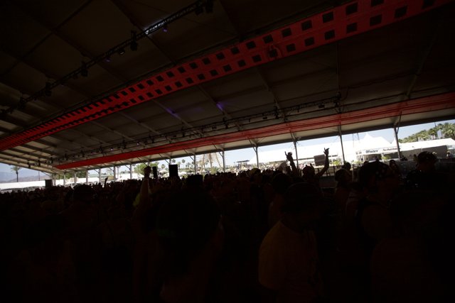 High-Energy Crowd at Coachella