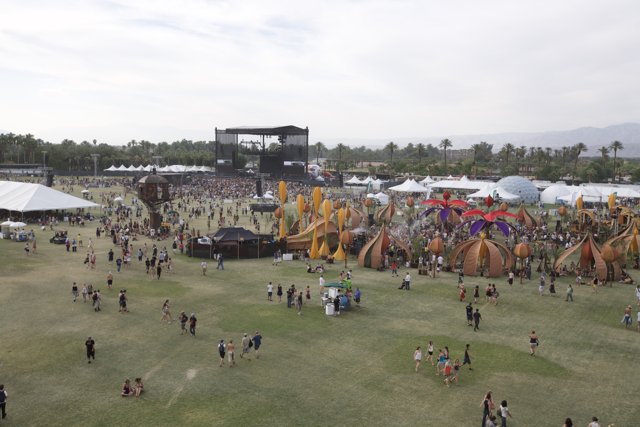 Coachella 2008: The Music Festival That Drew Thousands