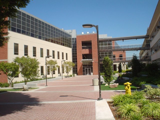 A Stroll Through Campus