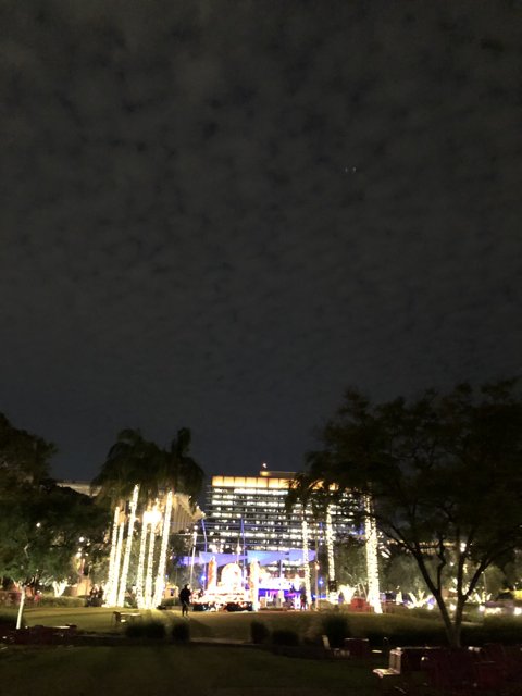 Illuminated Park in the Heart of LA