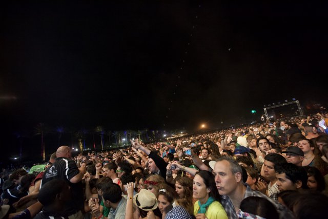 Night Time Concert Crowd