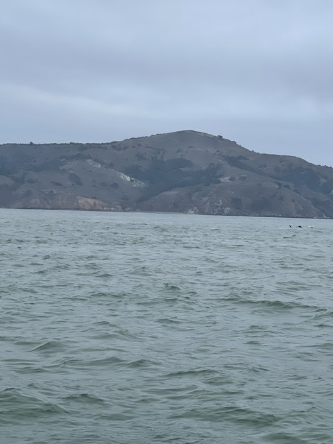 The Majestic San Francisco Bay