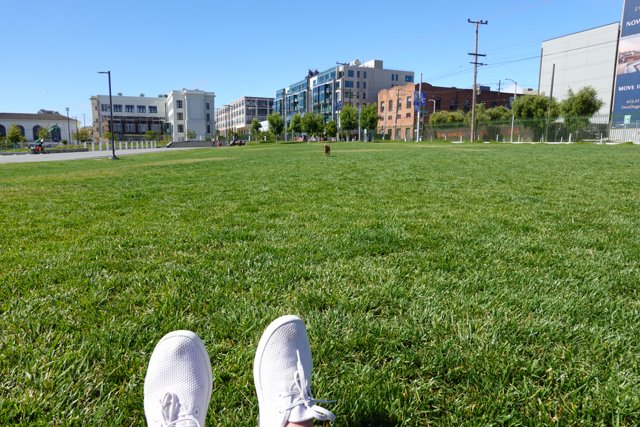 Sneakers on the San Francisco lawn