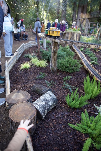 Enchanted Woodland Gathering