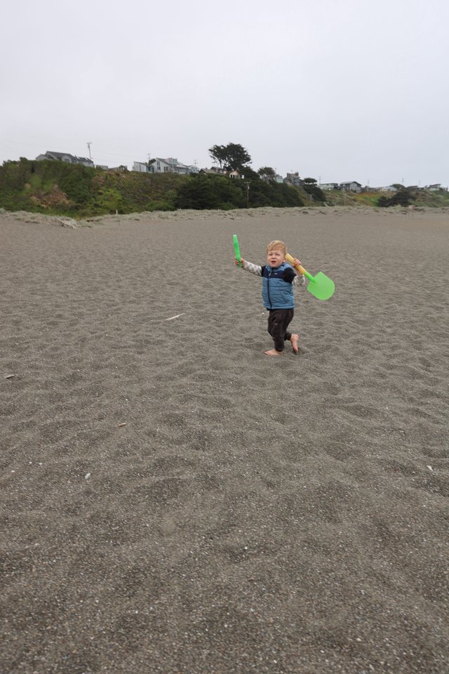 Barefoot Toddler Triumphant with Beach Shovels
